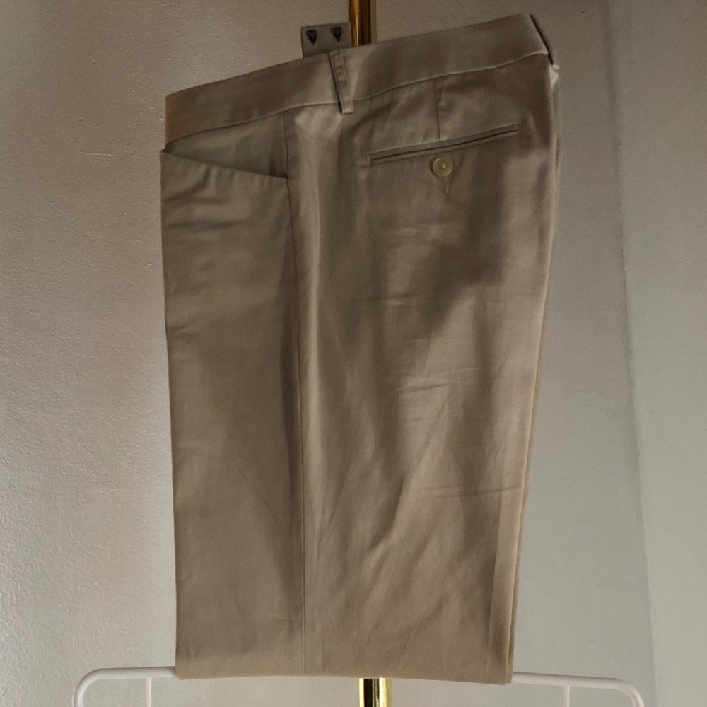 Express Editor Khaki Pants
